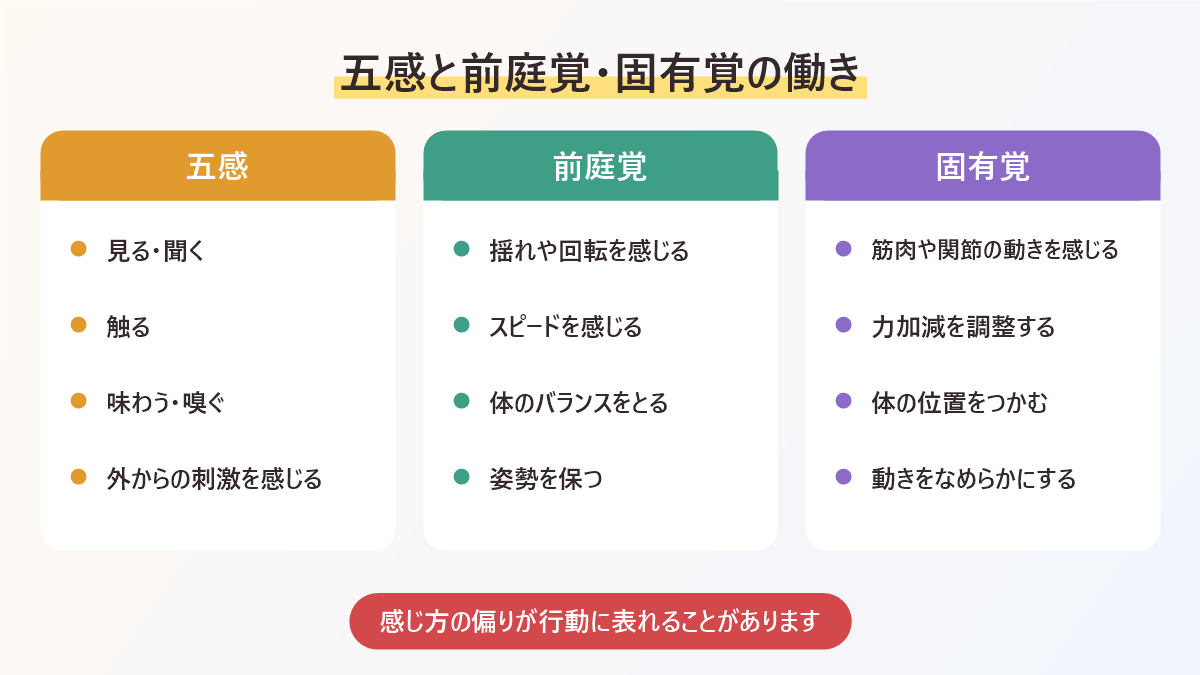 五感と前庭覚、固有覚の働きをまとめた図。前庭覚は揺れや回転を感じバランスをとる感覚、固有覚は力加減や体の位置を感じる感覚