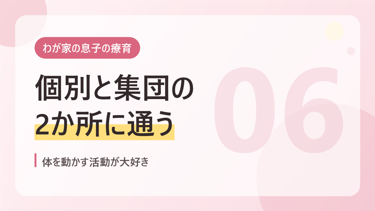 わが家の息子の療育のバナー画像。個別と集団の2か所に通う